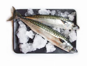 Makrela patroszona 300g