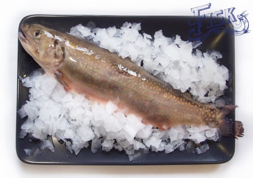 Pstrąg źródlany 400g