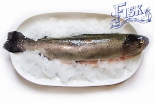 Pstrąg tęczowy 300g