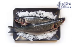 Okoń morski BIO 400g