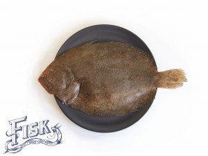 Turbot patroszony 600g