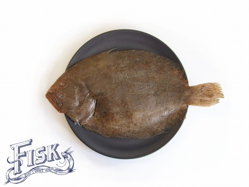 Turbot patroszony 600g